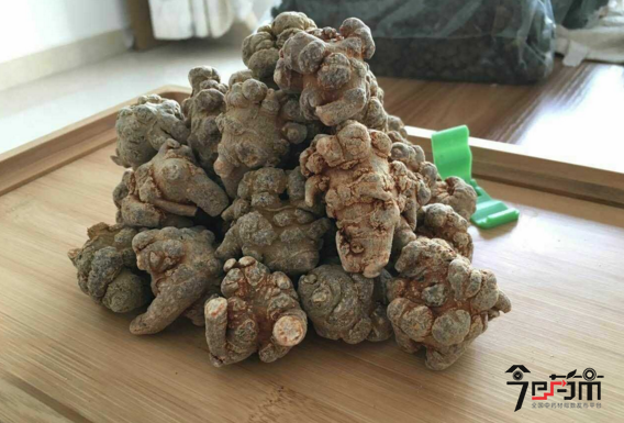 名贵中药材三七图片