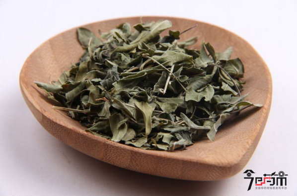 新疆名贵中药材罗布麻图片