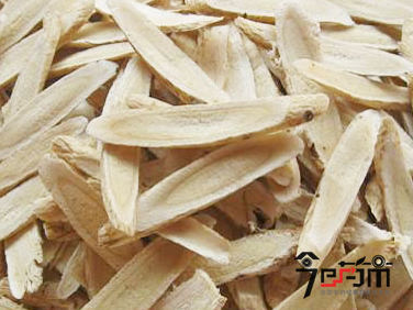 山西名贵中药材正北芪
