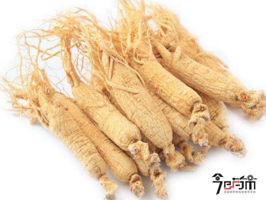 外名名贵中药材长白山白参