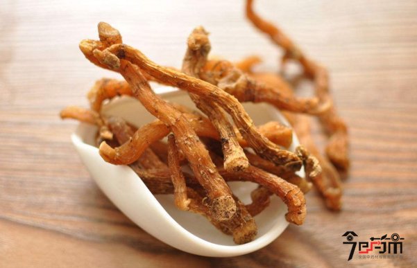 名贵中药材玉竹