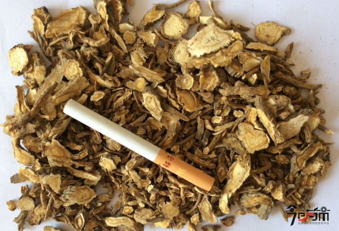 中药材前胡图片