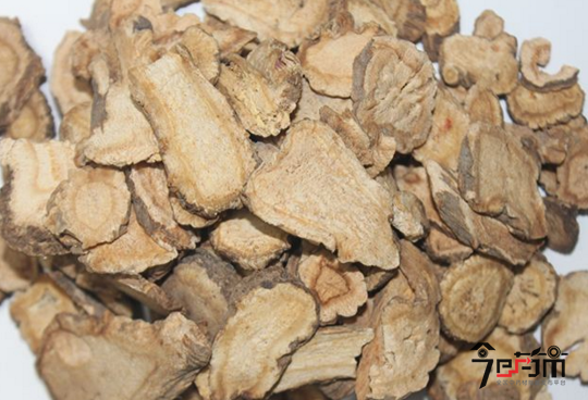 中药材前胡图片