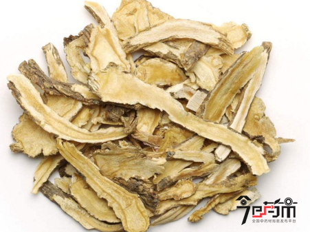 中药材前胡图片