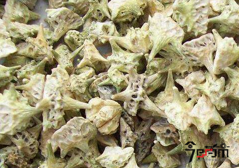 中药材白蒺藜的功效与作用及用法用量