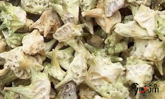 中药材白蒺藜药材性状