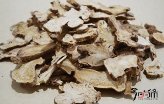 河南名贵中药材白术