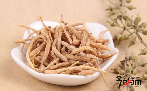 中药材太子参图片