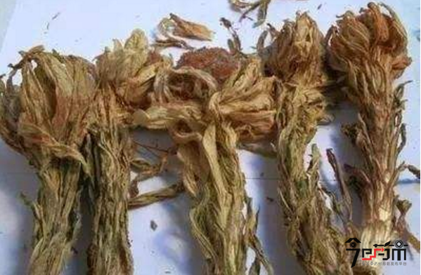 中药材雪莲花的功效与作用