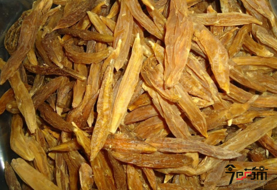 中药材天冬的功效与作用及天冬图片