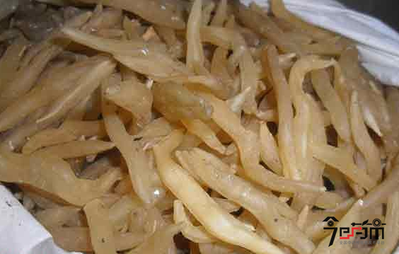 天门冬的功效与作用及天门冬图片