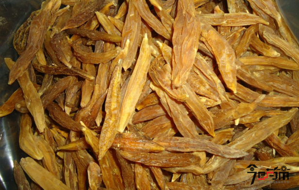 天门冬的功效与作用及天门冬图片