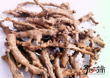 穿山龙的功效与作用及穿山龙图片