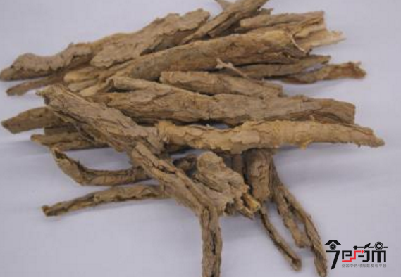 地骨皮的种植技术与地骨皮图片
