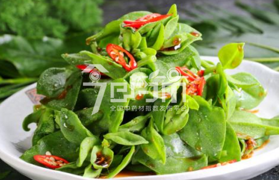 穿心莲吃法图片