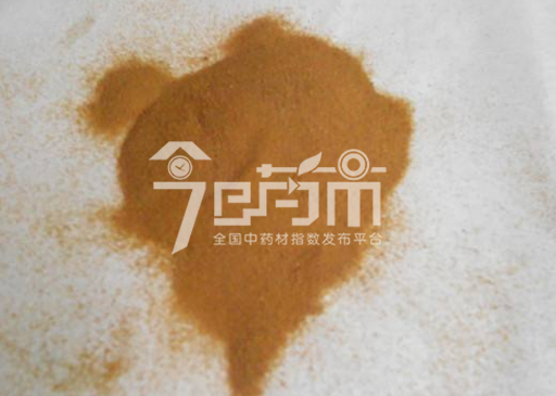 中药材海金沙图片
