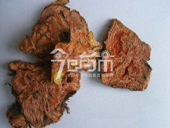 中药材红景天图片
