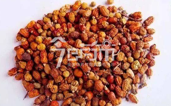 红豆蔻的种植技术与管理及其红豆蔻图片