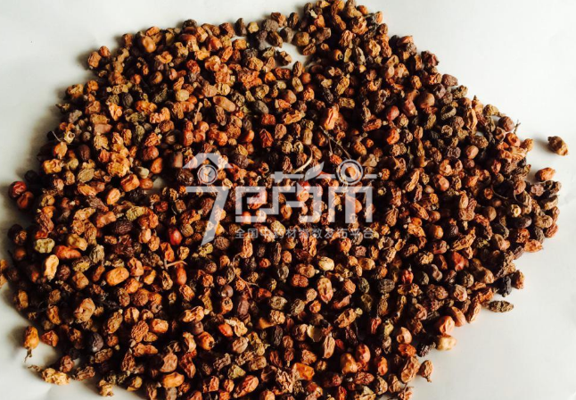 红豆蔻的种植技术与管理及其红豆蔻图片