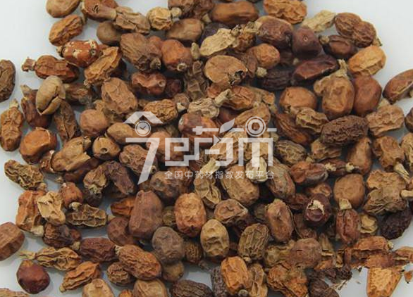 中药材红豆蔻图片