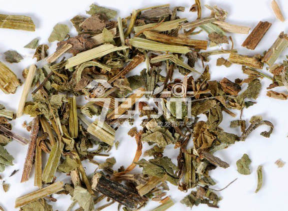 连钱草种植技术与管理及其连钱草图片