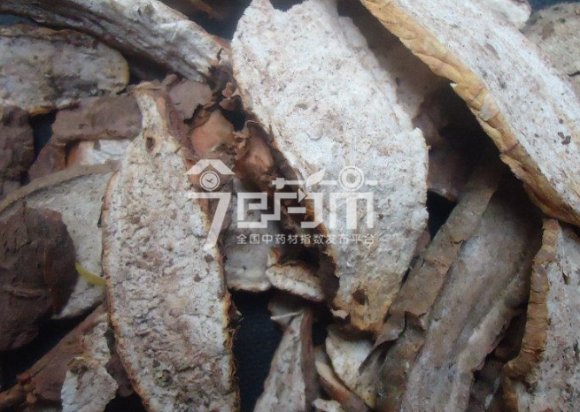 白蔹的种植技术与管理及其白蔹图片