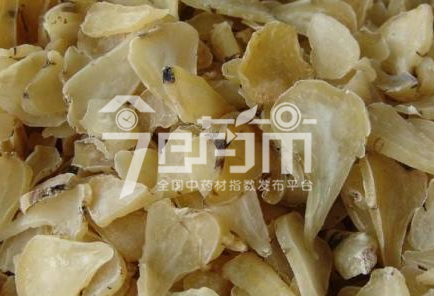 白附子的功效与作用及白附子图片