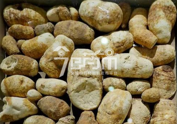 白附子的功效与作用及白附子图片