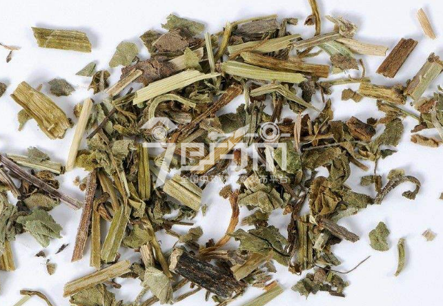 连钱草图：中药材连钱草