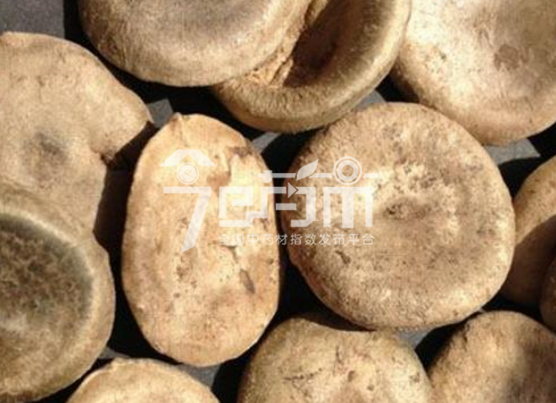 马钱子功效作用与马钱子药用以及马钱子图片