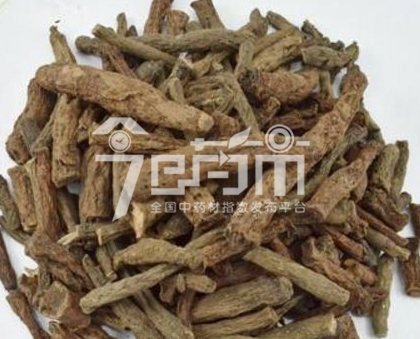 仙茅的功效与作用以及仙茅图片
