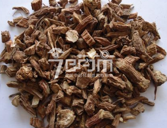 续断的功效与作用以及续断图片