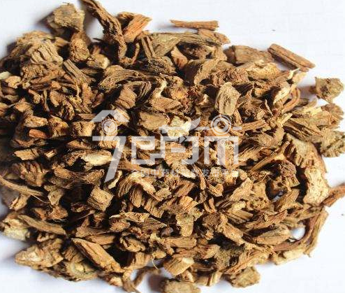 续断的功效与作用以及续断图片