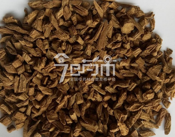续断的功效与作用以及续断图片