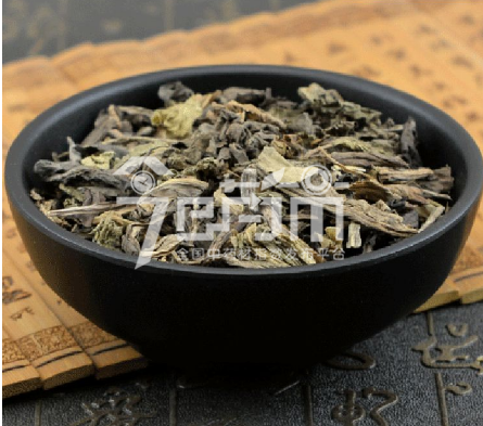 大青叶图片 大青叶图片