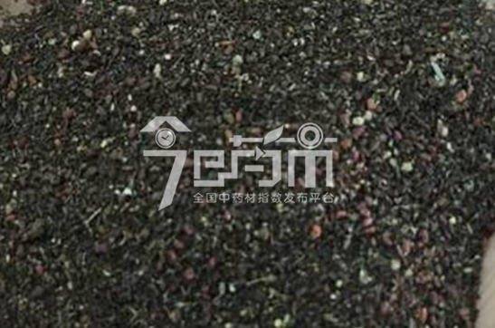 白花蛇舌草图：白花蛇舌草种子
