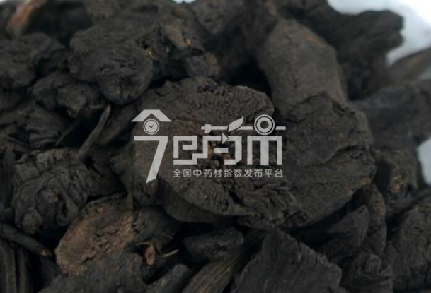 地榆炭的功效作用与用法用量以及地榆炭图片