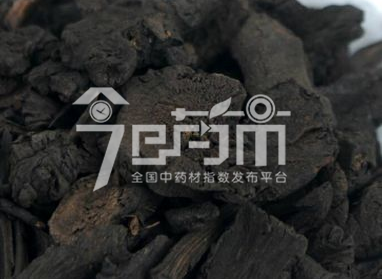 地榆炭的功效作用与用法用量以及地榆炭图片