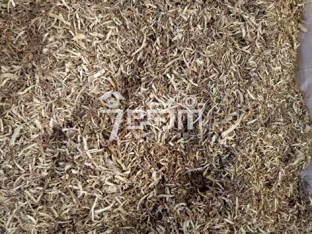 会川市场14.5元/kg成交的当归药厂股子片