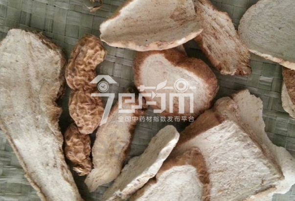 隔山消的功效与作用以及隔山消图片