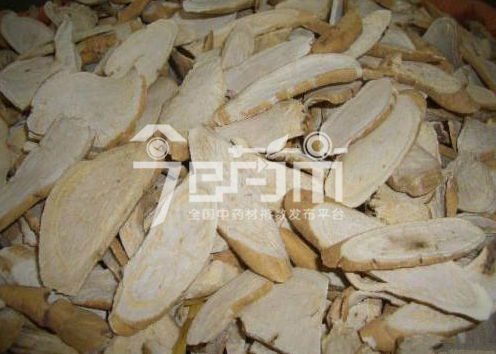 隔山消的功效与作用以及隔山消图片