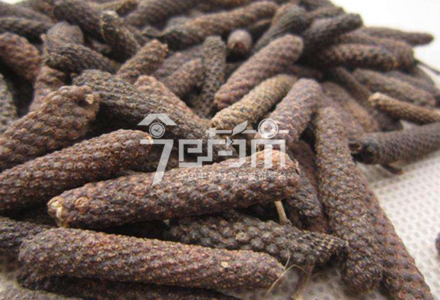 荜茇的种植技术与管理以及荜茇图片