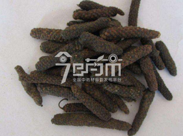 荜茇的种植技术与管理以及荜茇图片