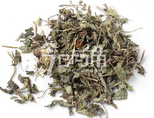 苦地丁的功效与作用以及苦地丁图片