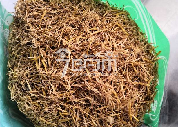 莲须种植技术与管理以及莲须图片