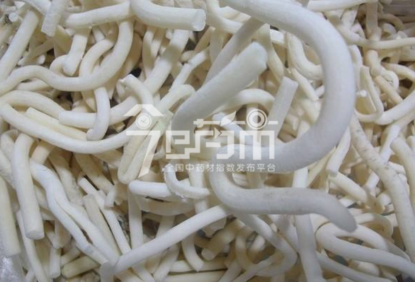 通草吃法与功效作用