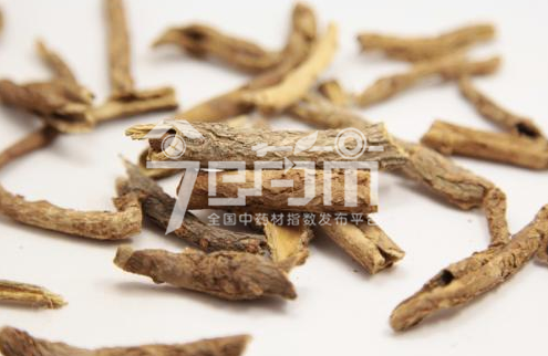 五加皮的功效与作用以及五加皮图片