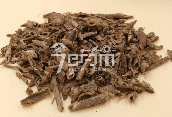 五加皮的功效与作用以及五加皮图片