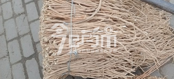 岷县药材市场12.5元/kg成交的黄芪股子