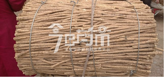 岷县药材市场32.5元/kg成交的黄芪节